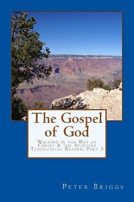 Cover of The Gospel of God