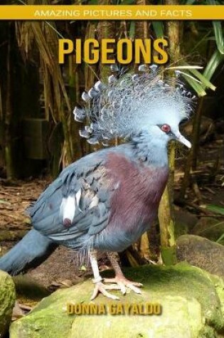 Cover of Pigeons