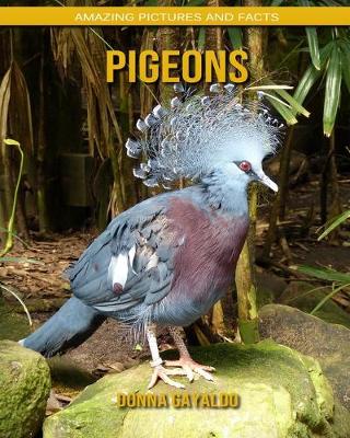 Book cover for Pigeons