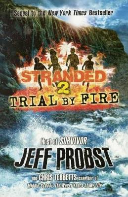 Book cover for Trial by Fire