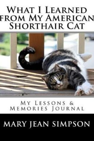 Cover of What I Learned from My American Shorthair Cat