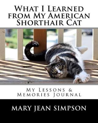 Book cover for What I Learned from My American Shorthair Cat