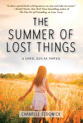 Book cover for The Summer of Lost Things