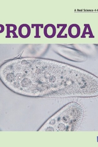 Cover of Protozoa