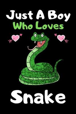 Book cover for Just a boy who loves snake