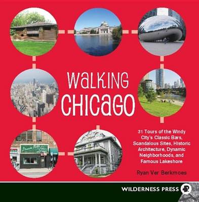 Book cover for Walking Chicago