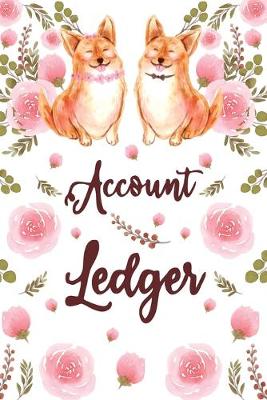 Book cover for Account Ledger