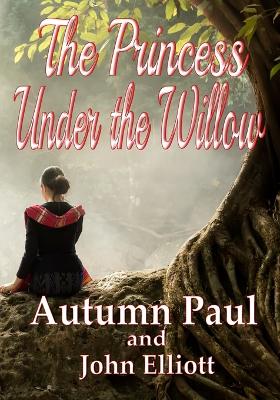 Book cover for The Princess Under the Willow