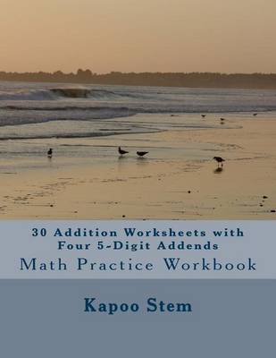 Book cover for 30 Addition Worksheets with Four 5-Digit Addends