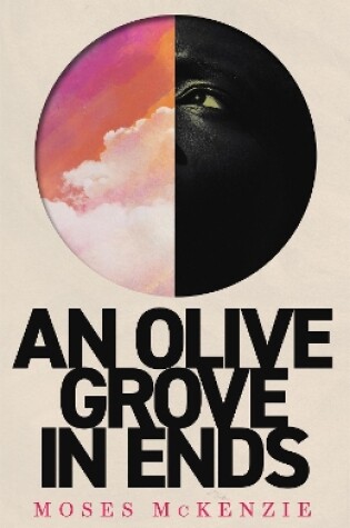 Cover of An Olive Grove in Ends