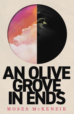 Book cover for An Olive Grove in Ends