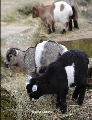 Book cover for Baby Goats