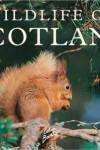 Book cover for Wildlife of Scotland