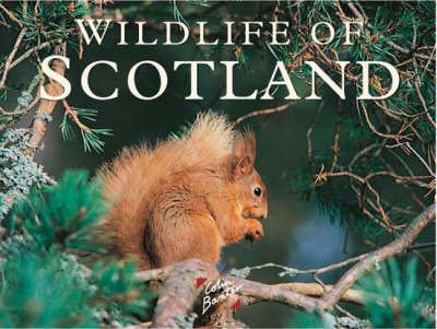 Book cover for Wildlife of Scotland