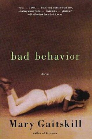 Cover of Bad Behavior