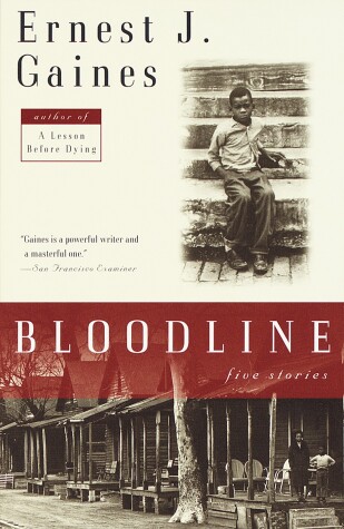 Book cover for Bloodline