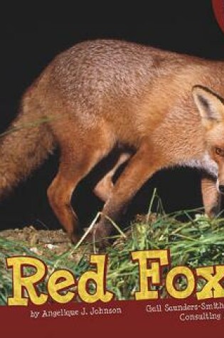 Cover of Red Foxes