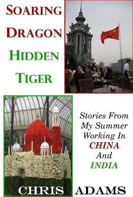 Book cover for Soaring Dragon Hidden Tiger: Stories from My Summer Working in China and India