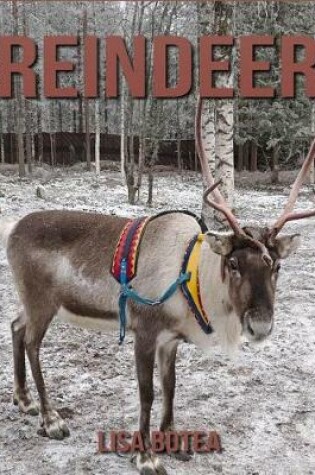 Cover of Reindeer