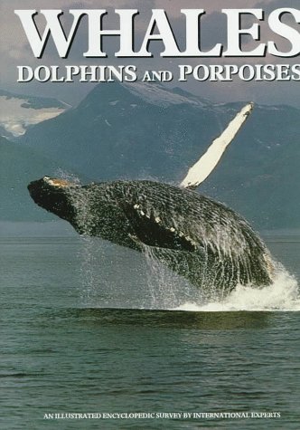 Book cover for Whales, Dolphins, and Porpoises