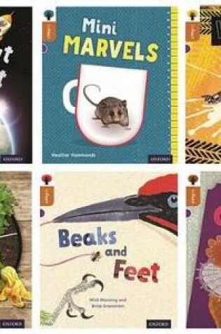 Cover of Oxford Reading Tree inFact: Level 8: Class Pack of 36