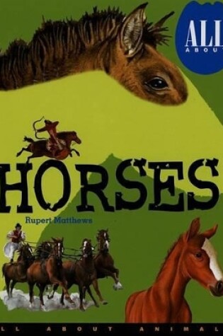 Cover of All about Horses