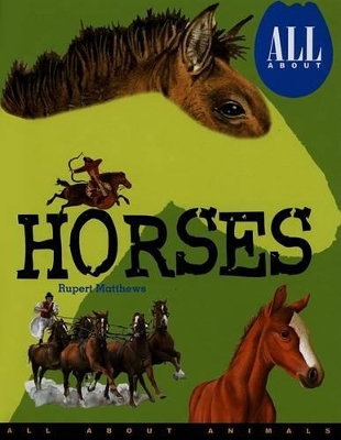 Book cover for All about Horses
