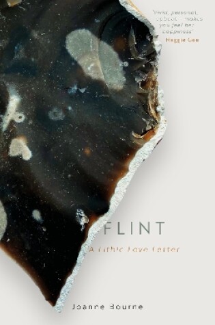 Cover of Flint