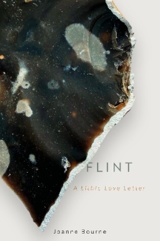 Cover of Flint