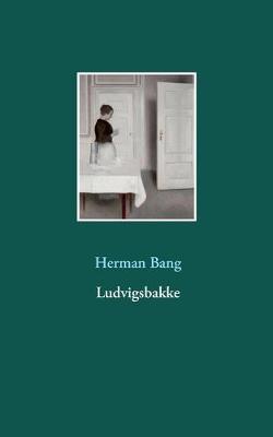 Book cover for Ludvigsbakke