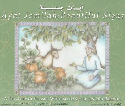 Book cover for Beautiful Signs / Ayat Jamilah