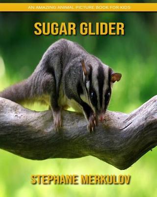 Book cover for Sugar Glider