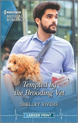 Book cover for Tempted by the Brooding Vet