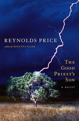 Book cover for The Good Priest's Son