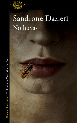 Book cover for No huyas / Don't Run Away