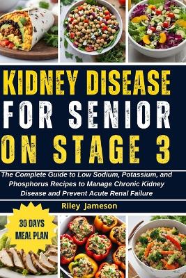 Book cover for Kidney Disease for Senior on Stage 3