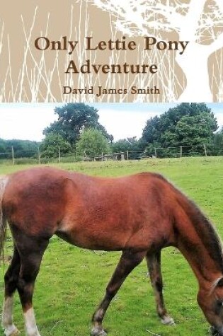 Cover of Only Lettie Pony Adventure