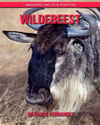 Book cover for Wildebeest