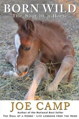 Cover of Born Wild - The Soul of a Horse