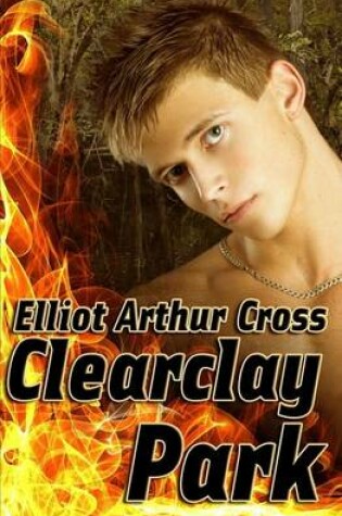 Cover of Clearclay Park