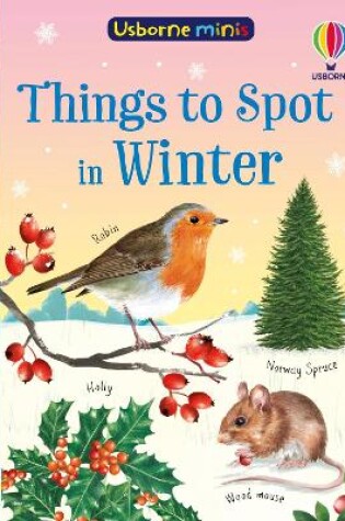 Cover of Things to Spot in Winter