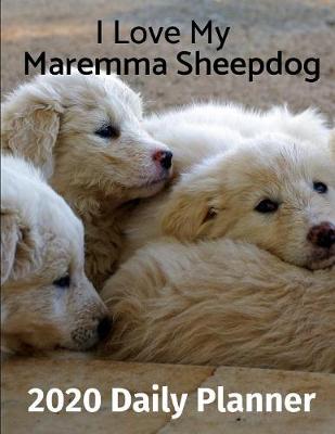 Cover of I Love My Maremma Sheepdog