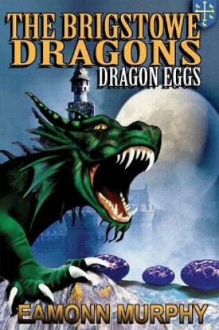 Cover of Brigstowe Dragons