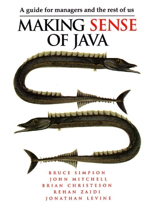 Book cover for Making Sense of JAVA