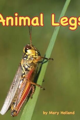 Cover of Animal Legs