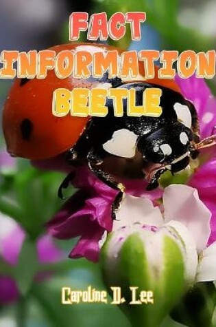 Cover of Fact Information Beetle