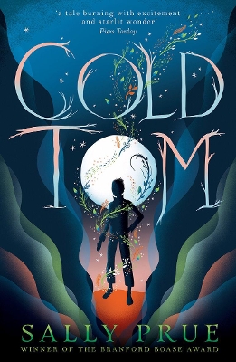 Book cover for Cold Tom