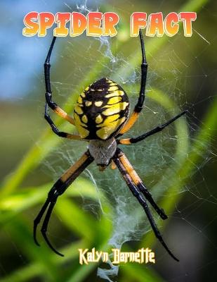 Book cover for Spider Fact