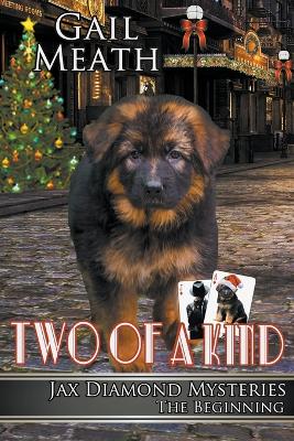 Two of a Kind - The Beginning by Gail Meath