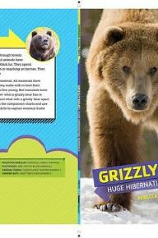 Cover of Grizzly Bears